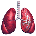 Thoracic Surgery