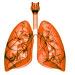 Respiratory Medicine