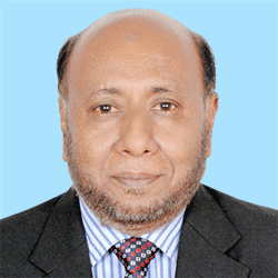 Prof. Dr. M. S. A. Mansur Ahmed