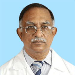 Prof. Dr. M Abdullah Al Safi Majumder
